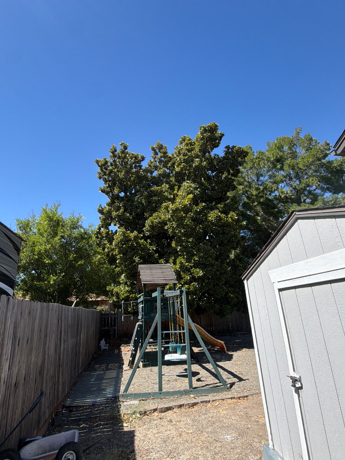 Tree Pruning