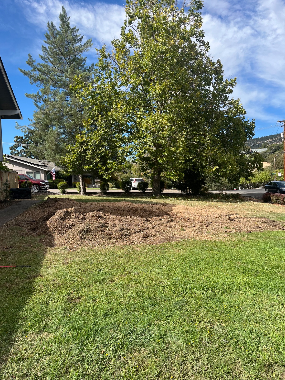 Job photo 5