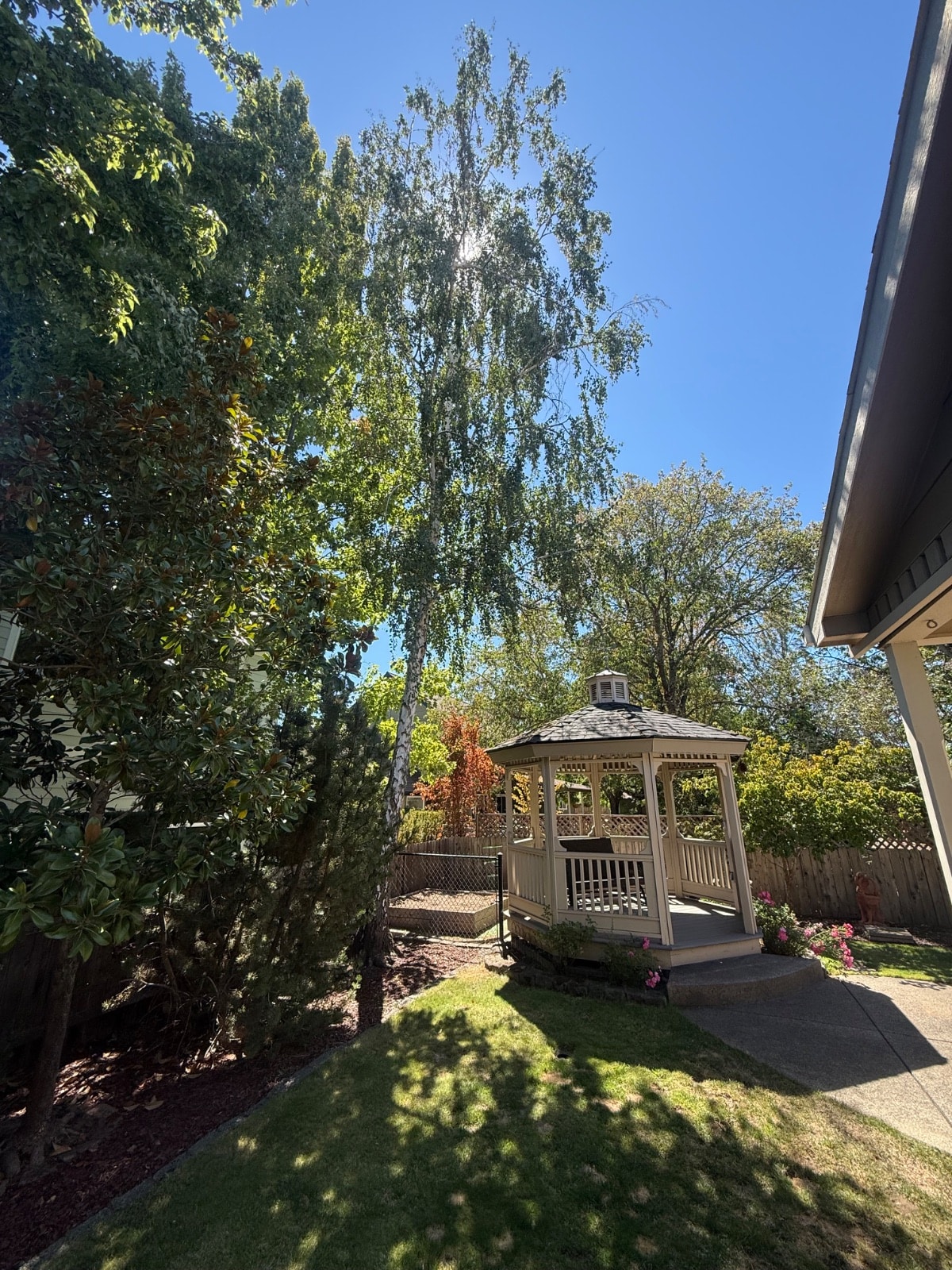Tree Removal