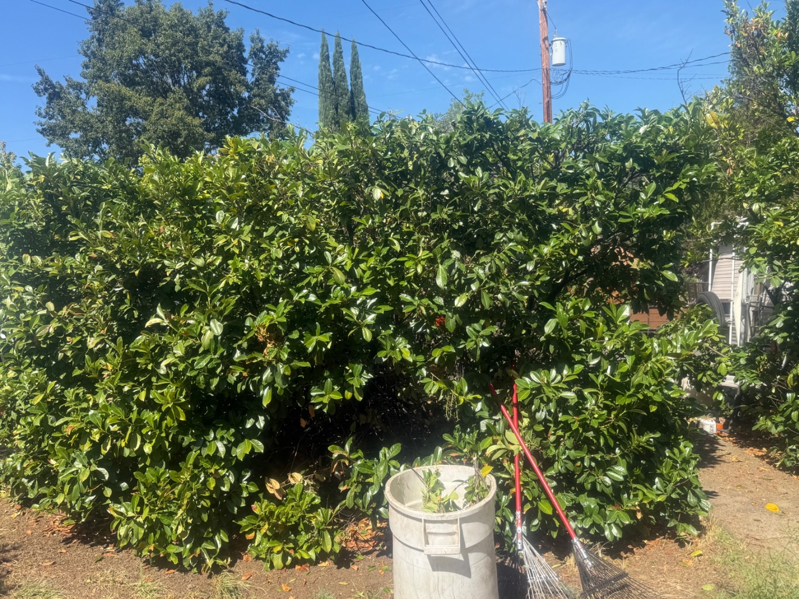 Job photo 2