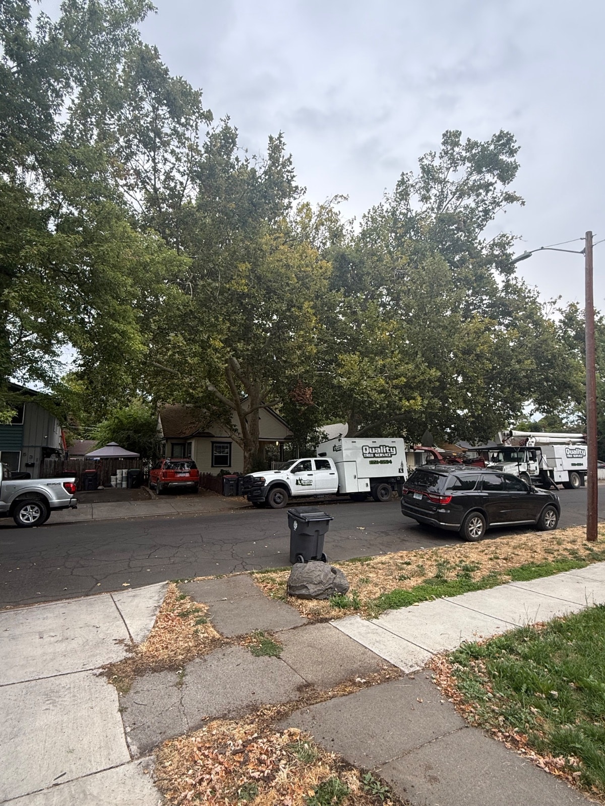 Tree Pruning