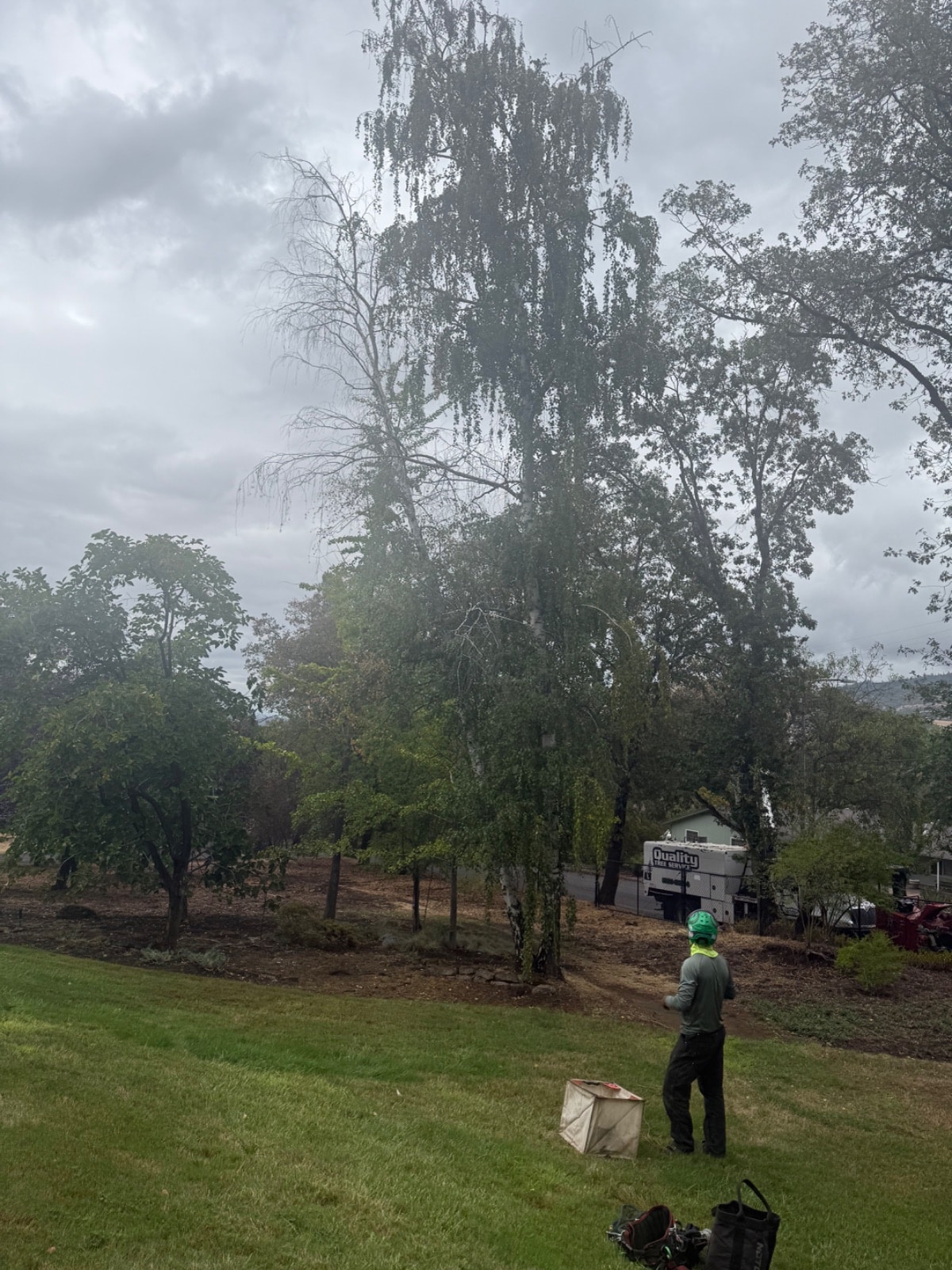 Tree Pruning