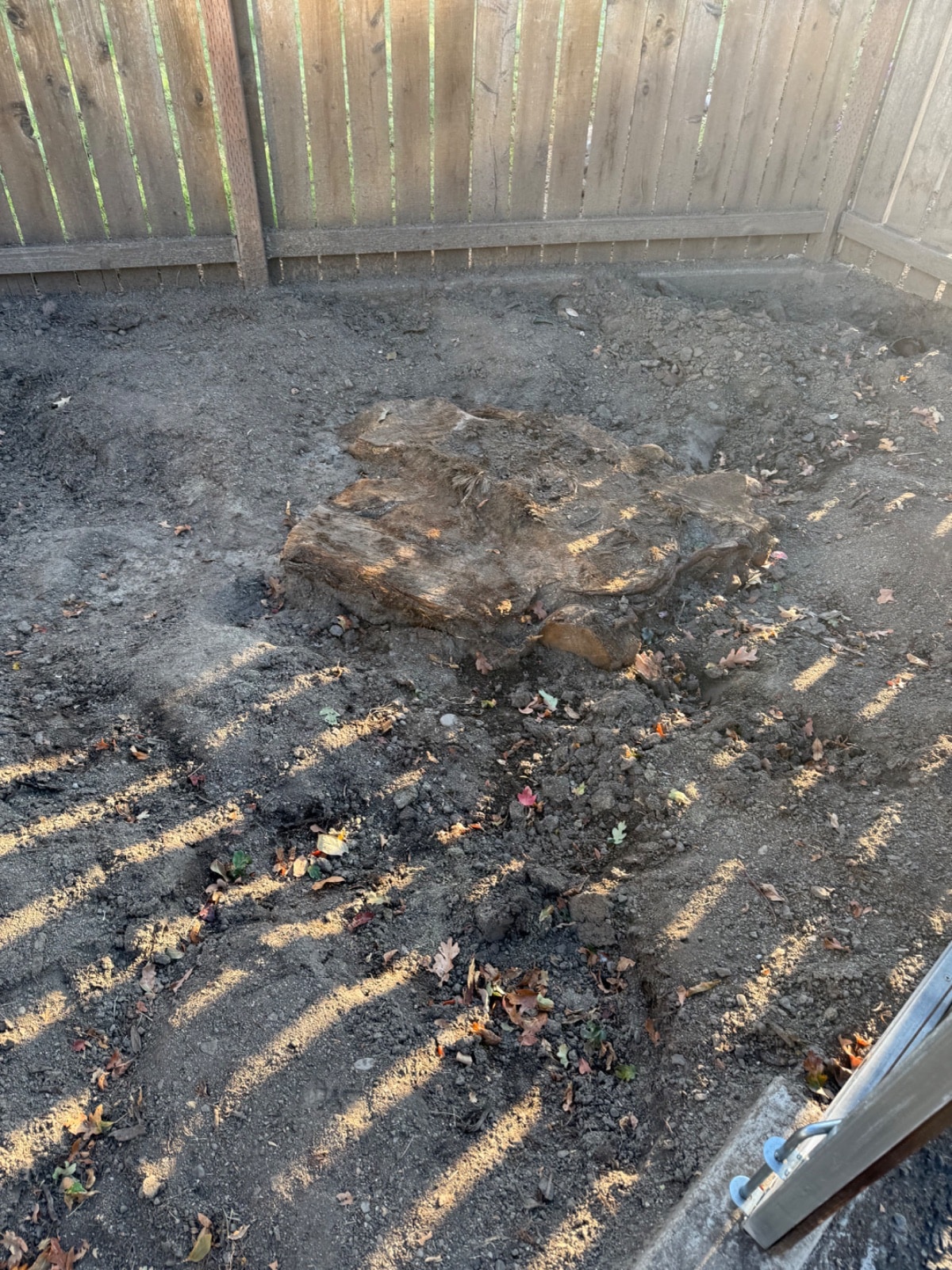 Stump Grinding