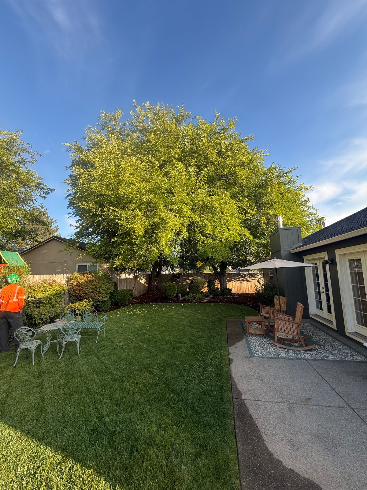 Tree Pruning