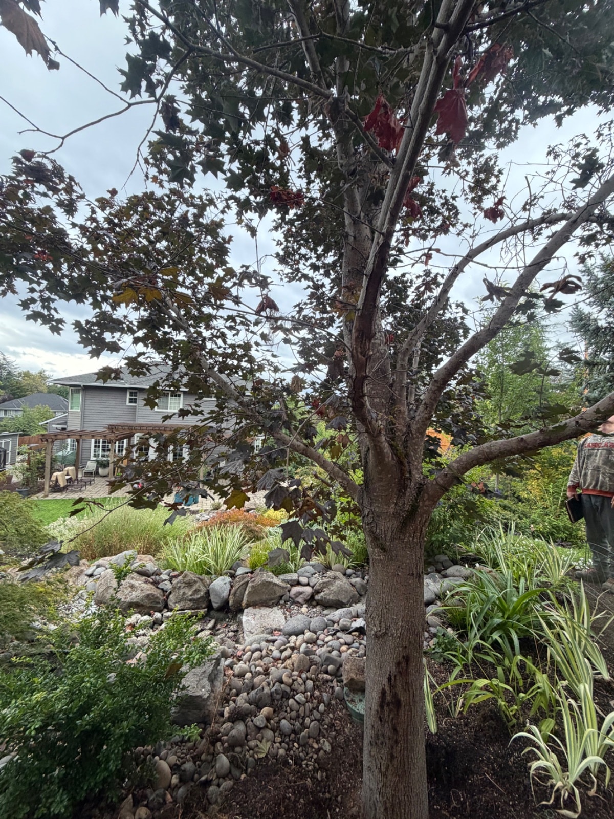 Job photo 2