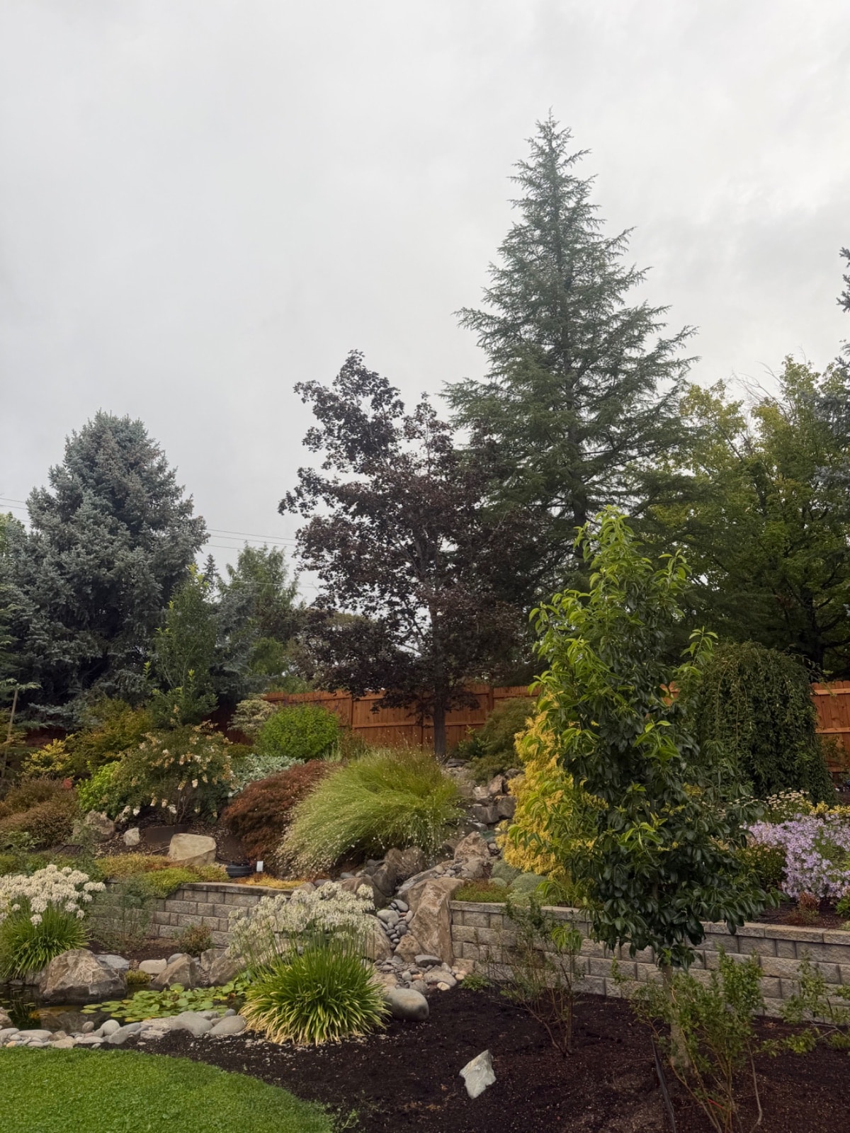 Tree Removal
