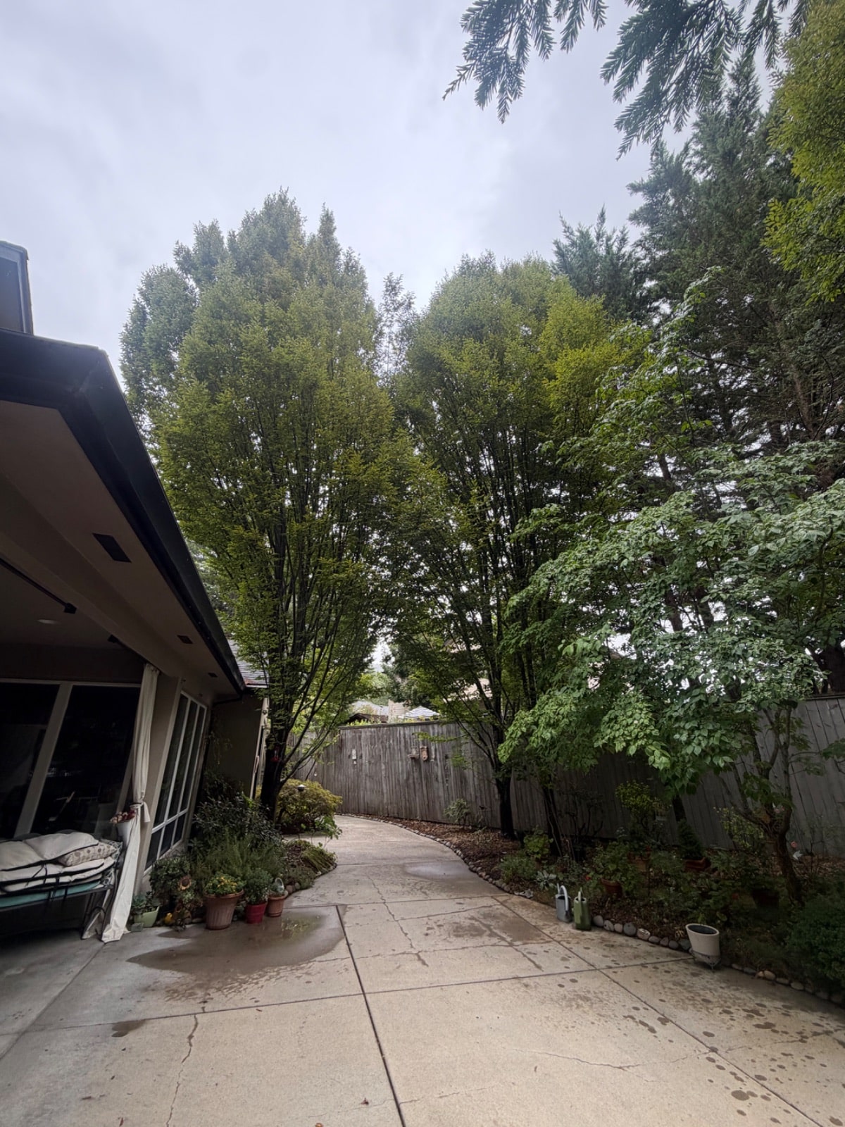 Tree Pruning