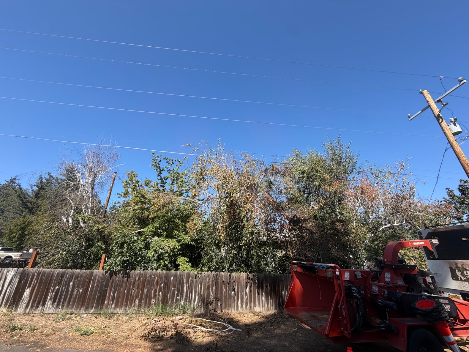 Tree Pruning