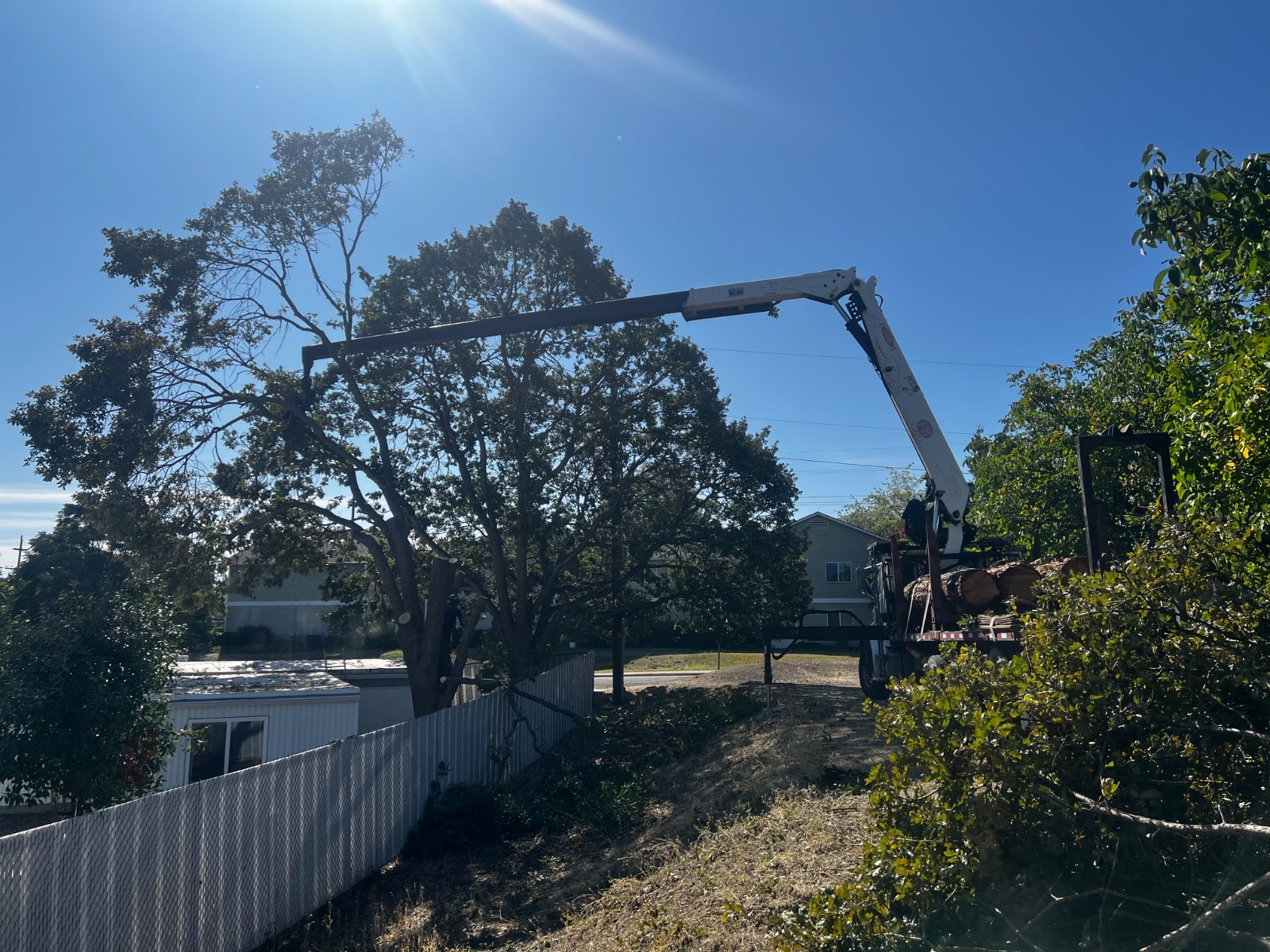 Tree Removal