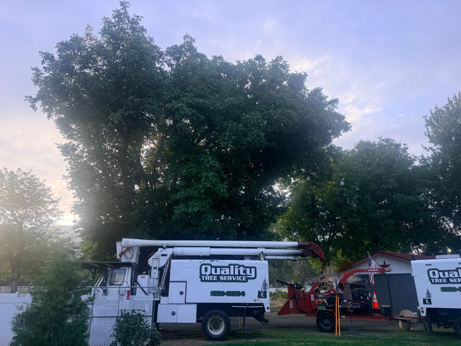 Tree Pruning